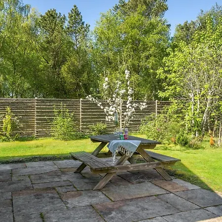 3 Bedroom Awesome In *